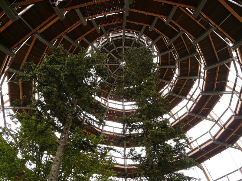 Educational Platforms